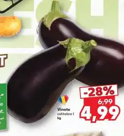 Kaufland Vinete Ofertă