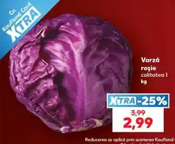 Kaufland Varză roşie Ofertă