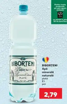 Kaufland BIBORȚENI Apă minerală naturală plată Ofertă