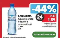Kaufland CARPATINA Apă minerală naturală Ofertă