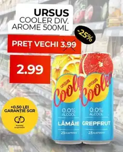 Simos Ursus cooler div. arome Ofertă