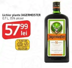 Supeco Lichior plante JAGERMEISTER Ofertă