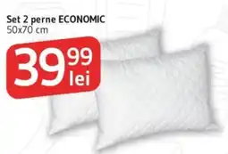 Supeco Set 2 perne ECONOMIC 50x70 cm Ofertă