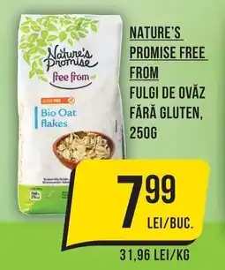 Mega Image Nature's promise free from fulgi de ovăz fără gluten Ofertă