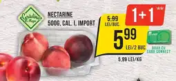 Mega Image Nectarine Ofertă