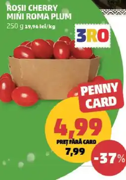 Penny Rosii cherry mini roma plum Ofertă