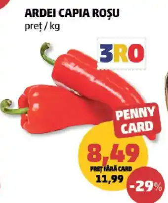 Penny Ardei capia roșu Ofertă