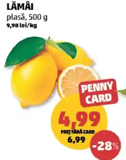 Penny Lămâi plasă Ofertă