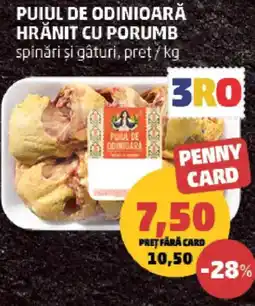 Penny Puiul de odinioară hrănit cu porumb spinări şi gâturi Ofertă