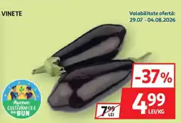 Auchan Vinete Ofertă