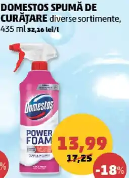 Penny Domestos spumă de curățare Ofertă