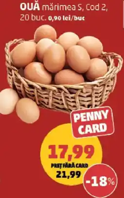 Penny Ouă mărimea s, cod 2 Ofertă