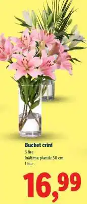 Lidl Buchet crini Ofertă