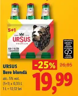 Lidl URSUS Bere blondă Ofertă