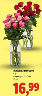 Lidl Buchet de trandafiri Ofertă