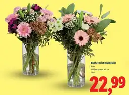Lidl Buchet mixt multicolor Ofertă