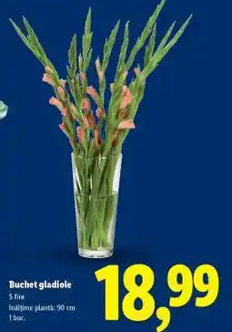 Lidl Buchet gladiole Ofertă