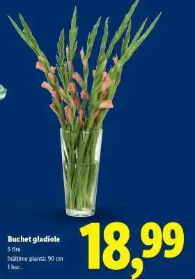 Lidl Buchet gladiole Ofertă