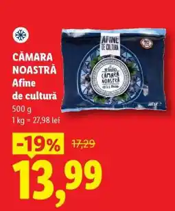 Lidl CĂMARA NOASTRĂ Afine de cultură Ofertă
