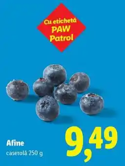 Lidl Afine Ofertă