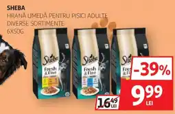 Auchan Sheba hrană umedă pentru pisici adulte Ofertă