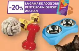 Auchan La gama de accesorii pentru caini si pisici Auchan Ofertă