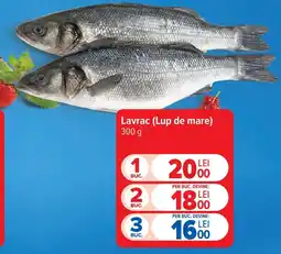 Carrefour Lavrac (Lup de mare) Ofertă