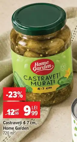 Carrefour Castraveţi 4-7 cm, Home Garden Ofertă