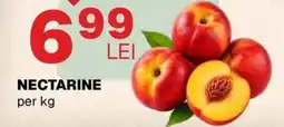 Annabella Nectarine Ofertă