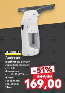 Kaufland Aspirator pentru geamuri Ofertă