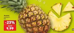Kaufland Ananas Ofertă