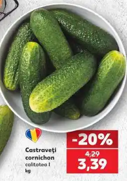 Kaufland Castraveţi cornichon Ofertă