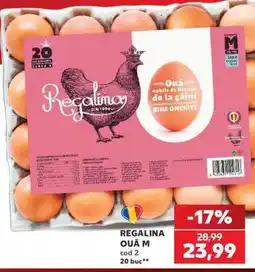 Kaufland REGALINA OUĂ M Ofertă