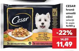 Kaufland CESAR hraná umedă câini Ofertă