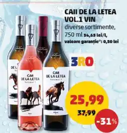 Penny CAII DE LA LETEA VOL.1 VIN Ofertă