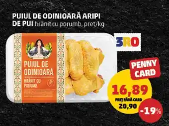 Penny PUIUL DE ODINIOARĂ ARIPI DE PUI Ofertă