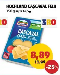 Penny HOCHLAND Caşcaval felii Ofertă