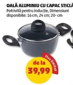 Penny Oală aluminiu cu capac sticlă Ofertă