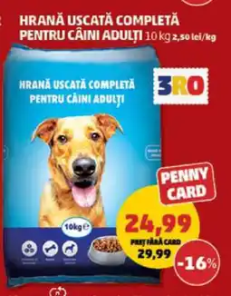 Penny Hrană uscată completă pentru câini adulți Ofertă