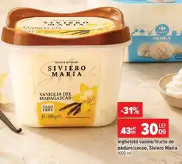 Carrefour Înghețată vanilie/fructe de pădure/cacao, Siviero Maria Ofertă