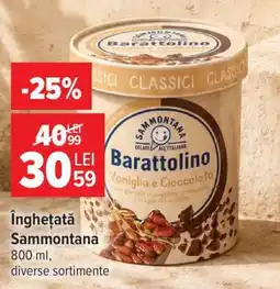 Carrefour Înghețată Sammontana Ofertă