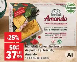 Carrefour Înghețată cu vanilie, fructe de pădure și biscuiți, Amando Ofertă