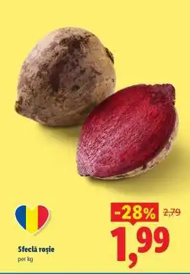Lidl Sfeclă roşie Ofertă