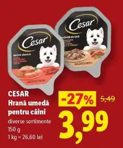 Lidl CESAR Hrană umedă pentru câini Ofertă