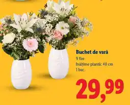 Lidl Buchet de vară Ofertă