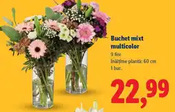 Lidl Buchet mixt multicolor Ofertă