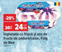 Carrefour Înghețată cu frișcă și sos de fructe de pădure/caise, Fulg de Nea Ofertă