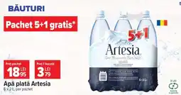 Carrefour Apă plată Artesia Ofertă
