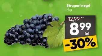 PROFI Struguri negri Ofertă