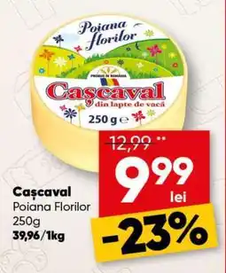 PROFI Cașcaval Poiana Florilor Ofertă